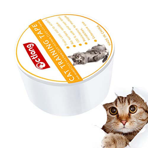 Mipcase LpXNb`h~ \t@یe[v SƋیXebJ[ 2.5C` ybgpi LЂh~