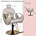 Hicomony Grey Barber Salon Chair for Hair Stylist,Barber Chair for Home, Reclining Styling Salon Hair Armchair with Hydraulic Pump, 360°Rotation, 130°Recline, Height Adjustable (Grey)