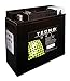 Produktbild TECNO-GEL Motorrad-Batterie 51913 (51814) für MOTO GUZZI 1000 Mille GT, S, SP I, II, III 1978-1996, 12V Gel-Batterie 22 Ah, 186x82x171 mm