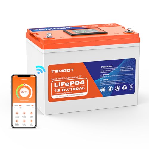 12V 100AH Group 24 Self-Heating LiFePO4 Lithium Battery