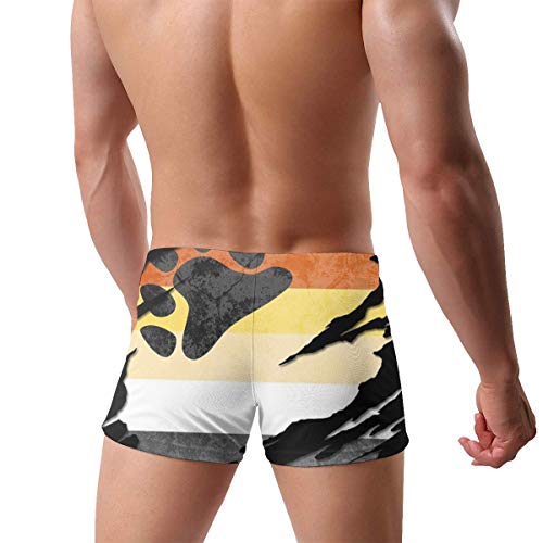 Bear Pride Flag Men Swimwear Basic Long Swim Boxer Trunks Board Shorts Swimsuits Black2