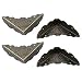 Protecteur d'angle de boîte, 12 pièces Vintage Bronze Fer Garde Bord Couverture métal Livre Coin Protecteur boîte en Bois Coin décoratif Couverture avec vis pour Armoire Meubles