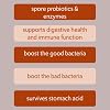 Bacillus B3 Spore-Based Probiotic + Enzymes for Gut Health & Microbiome Support, Shelf-Stable Daily Probiotic with Bacillus Coagulans, Bacillus Subtilis & Bacillus Clausii, 60 Capsules
