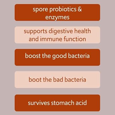 Bacillus B3 Spore-Based Probiotic + Enzymes for Gut Health & Microbiome Support, Shelf-Stable Daily Probiotic with Bacillus Coagulans, Bacillus Subtilis & Bacillus Clausii, 60 Capsules