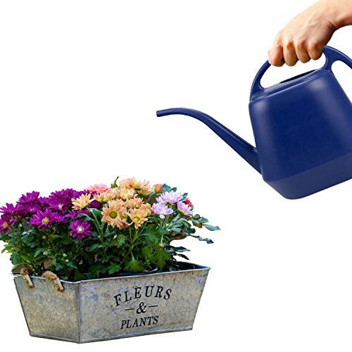 Fasmov Plastic Watering Can, Blue, 1-Gallon - Image 6