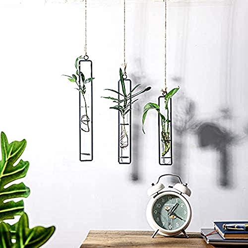 Bigsee 3 Pcs Different Length Test Tube Hanging Glass Planter Bud Flower Vase Terrarium Container For Home Decoration Green Plants Wedding #TOP1