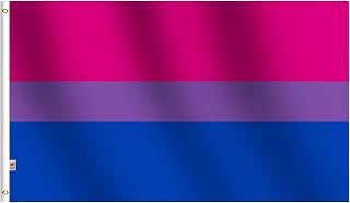 Bisexual Flag 2x3Ft - Support Bi Pride Love LGBT Small- House Decoration Banner Small Yard Gift Double-Sided 60X90Cm