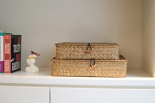 DOKOT Flat Seagrass Storage Bins with Lid, Wicker Basket for Shelf Organize, Set of 2 (Small+Large) by DOKOT - Used condition - Image 2