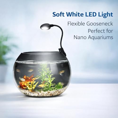 Image of rizopets N6+ Multicolor Aquarium LED Light 6 W | WRGB Spectrum | 3 Lighting Modes | 360 Flexible Arm | Clip-On Lamp for Nano Fish Tanks & Bowls
