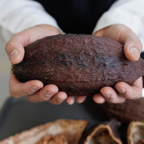 Inside the lab taste-testing the world's chocolate
