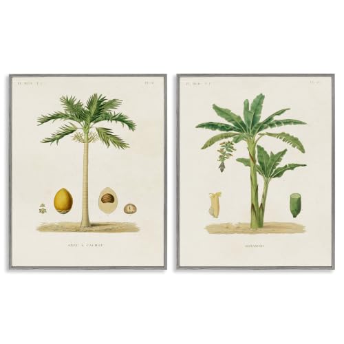 Minimal Palm Tree Coconuts Diagram, 11 x 14 Inch Framed Giclée Print Set