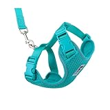 RC Pets Adventure Kitty Cat Harness | Adjustable Airmesh Vest with D-Ring and 6ft Leash for Walking and Travel | Teal, Small