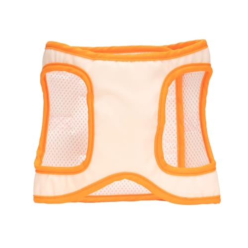 Suporte para Cães Idosos e com Dificuldade de Locomoção, Patas Traseiras, com Alça, Modelo Bergen (G