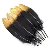 2. Varias plumas for elegir: flecos de plumas de gallo, plumas de ganso artesanales, plumas artesanales de colores, plumas de avestruz, plumas de avestruz, plumas de pavo real, boas de plumas, etc., múltiples puntos for sus diferentes demandas.
