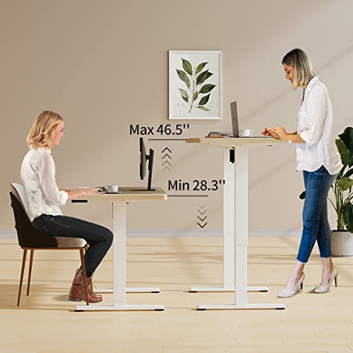 Joy Seeker Electric Standing Desk, Whole Piece 48 X 24 Inches Adjustable Height Desk, Modern Sit Stand Up Desk With Memory Controller, Ergonomic Rising Desk For Home Office Workstation, Light Wood #TOP2