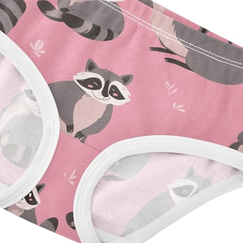Wusikd Funny Raccoons Girls' Underwear Cotton Girls Briefs Soft Toddler Underwear 2T4