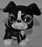 Boxer #826 (Black/White, Orange Eyes) Littlest Pet Shop (Retired) Collector Toy - LPS Collectible Replacement Single Figure - Loose (OOP Out of Package & Print)