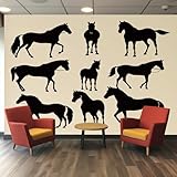 Animaux Fond D'écran Matériau: Le wallpaper panoramique mural est fabriqué en tissu non tissé de haute qualité, qui est non seulement imperméable et respirant insipide, mais offre également une résistance exceptionnelle à l'humidité et à la déformation