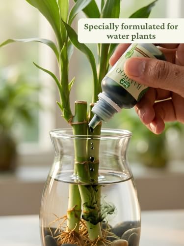 Image of Bombay Greens Liquid Bamboo Food for Plants | Growth Booster for Water Grown Plants | Essential Nutrient Plant Booster for Indoor Bamboo, Dracaena Plants - Pack of 2, 50ml Each