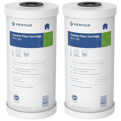 Image of Pentair Pentek RFC-BB Big Blue 10 inch x 4.5 inch Carbon Water Filter, Pack of 2 | 25-Micron Radial Flow GAC Reduces Chlorine Taste and Odor, 50,000-Gallon Capacity, NSF Certified