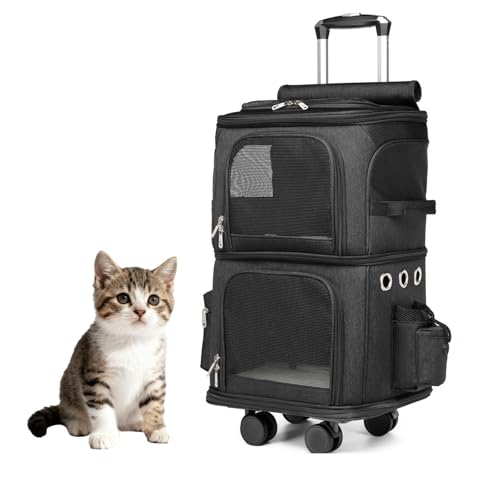 Gyrophoric LX^[t ybgL[ bN ybgL[obN 2C L 2i ybg lR  g[obO e ʋC s/ʉ@/ʋ@/ЊQp(Black)