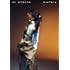 大塚愛「marble(初回限定盤 / ミニAL+DVD)」