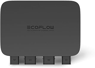 EF EcoFlow Chargeur d'alternateur 500 W, chargeur XT60 à charge rapide 3 en 1, 1 kWh en 2,1 h, GaN Tech, mainteneur de batterie de véhicule et démarreur, contrôle par application, sans danger pour VUS