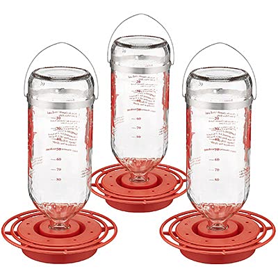 Best-1 Glass Hummingbird Feeders, 32 oz., Pack of 3