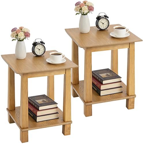 2-Tier End Table, Small Side Table Living Room with Solid Wood Legs, Nightstand with Open Space Square Bedside Table for Bedroom, Black