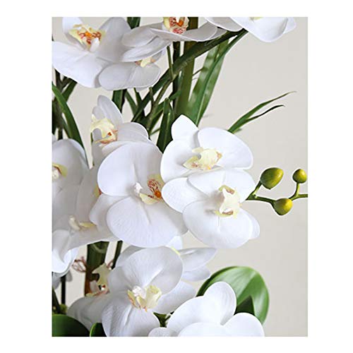 Orchidées fraîches en soie de prestige au design haut de gamme
