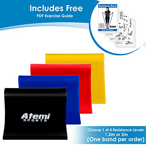 Exercise Bands For Physical Therapy (Sold Singly) | Resistance Band For Yoga | Long Resistance Bands For Working Out | Elastic Band For Exercise At Home | Yoga Stretching Band (7Ft, Blue (11.1Lb)) #TOP1