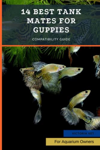 14 Best Tank Mates for Guppies: Compatibility Guide