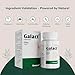 Generic ATS Galact Capsules - Shatavari Powder - Breast Feeding Supplement - Increase Milk Supply - Supplement for Women (30 Capsules)