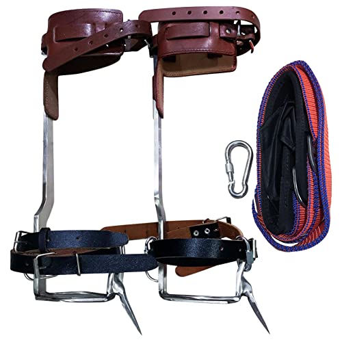 Most Wished For Items customers added to Wish Lists and registries most often in