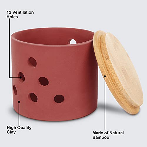 Awaiymi Garlic Keeper,Vented Clay Garlic Storage Container Saver With Bamboo Lid And 12 Air Vent,Reserve For Garlic, Onion, Lemon, Patato Or Ginger #TOP1