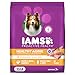Iams Proactive Health Mature Adult Dry Dog Food Chicken, 15 Lb. Bag