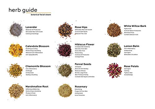 Botanical Facial Steam | 4 Steams | Organic Skin Care | All Skin Types | Cleanse, Hydrate, Tone | Usda Organic Herbs | Wildflower Wellness #TOP6