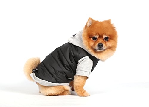 Doggy Dolly W109 Hundejacke Wasserabweisend mit Kapuze, schwarz/grau, Wintermantel/Winterjacke, Größe : S