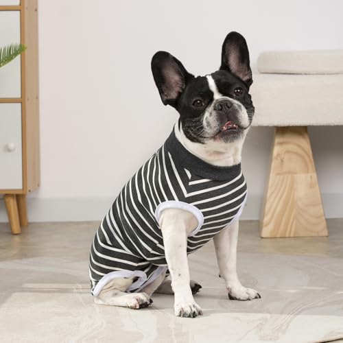 Image of Recovery Suits for Small Dogs, Dog Cat Surgery Suits Prevent Licking Double Care Abdominal Protection Onesie for Female Male (Black, Medium)
