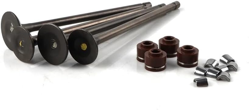 Motorcycle & Oil Seal Locking Plate Valves Fit For Benelli 150S Accessories