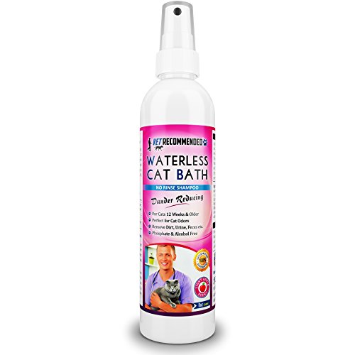 Vet Recommended Waterless Cat Shampoo & Conditioner - Apple Extract (8 Oz/240 ml). Simple Spray & Easy to Use. for Sensitive Skin, Detergent and Alcohol Free. Made in USA
