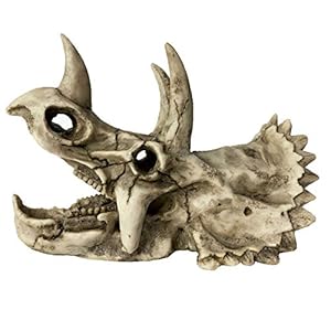 kathson Resin Dinosaur Triceratops Skull Décor Aquarium Decoration Reptiles Hideout Fish Tank Landscape Ornament Home Decor