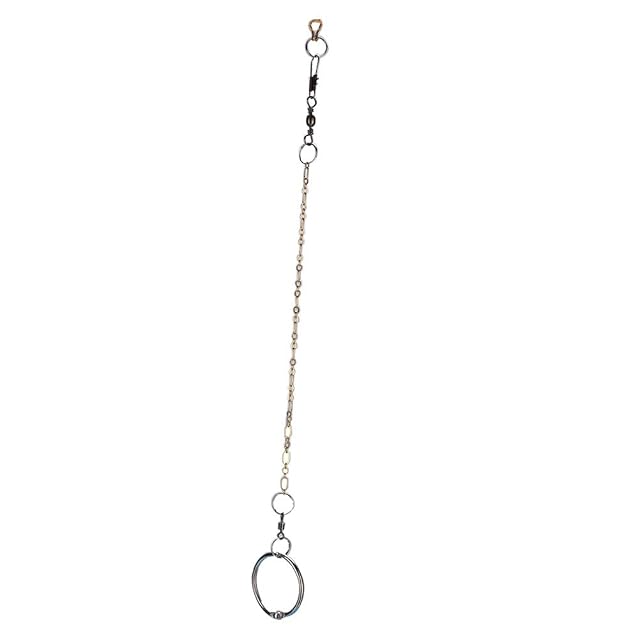 Sheens Cadena de pie de pájaro de Acero Inoxidable con Anillo Accesorios de Anillo de pie de Tobillo Parrot…