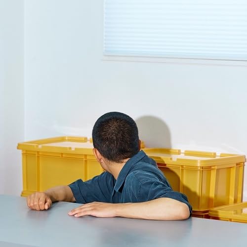 Forms - Vinyl release thumbnail