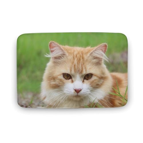 L   oX}bg   z փ}bg  O   \ ~ Aj LN^[ @}bg   ʏ