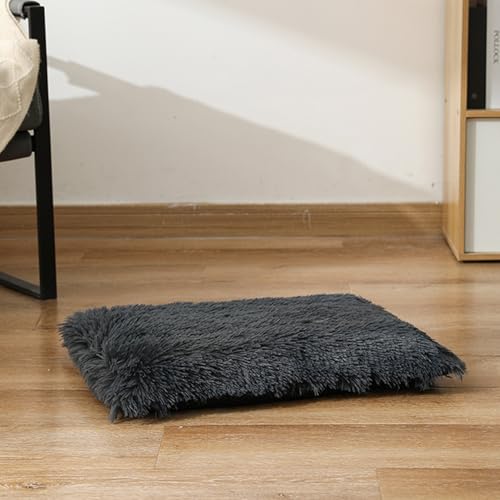 [ADSNS] 􂦂 J[2 ybg NbV ӂӂ g H~ ӂӂ  ΍ ^ ^ q L  ybgpxbh ybgnEX S Ή L n Gǂ 70*50   킢ʔN