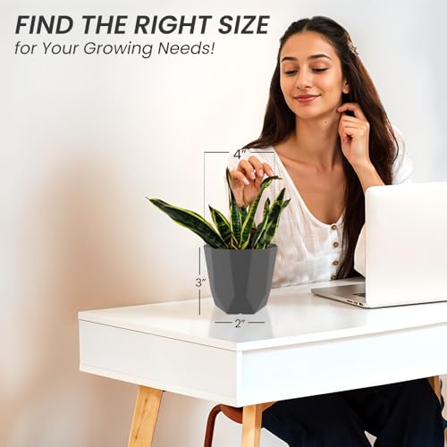 Image of YUCCABE ITALIA SHERA Hexa Plastic Planter Pot for Plants | Decorative Flower Pot | UV Protected Lightweight Indoor Outdoor Gamla for Home Decor, Balcony, Garden & Living Room