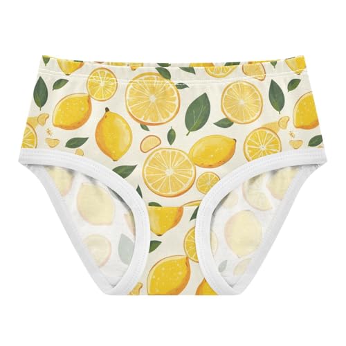 Wusikd Lemon Slice Fruit Girls' Underwear Cotton Girls Briefs Soft Toddler Underwear 2T