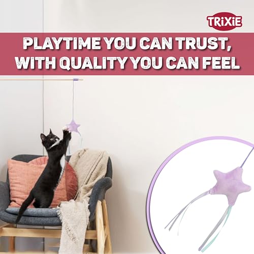 Image of TRIXIE Cat Fishing Rod Toy (Junior Playing Rod with Star)