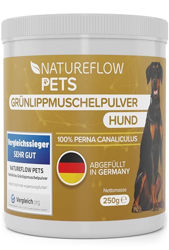 Grünlippmuschel Hund TESTSIEGER - 250g natürliches Grünlippmuschelpulver für Hunde - Unterstützung der Gelenkfunktion - Grünlippmuschel für Hunde mit Hoher Akzeptanz - Grünlippmuschelpulver Hund